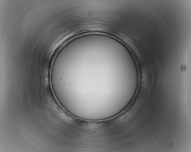 X0000113220782200910011344