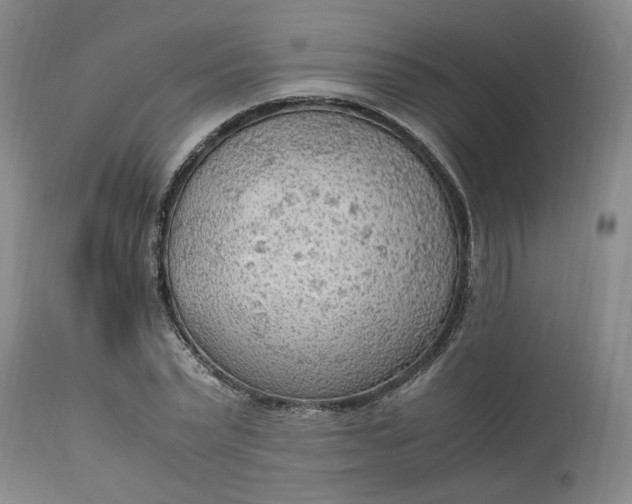 X0000113220783200910011344