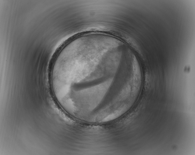 X0000113220784200910011344