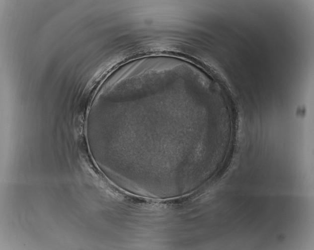 X0000113220785200910011344