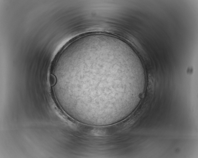 X0000113220788200910011344