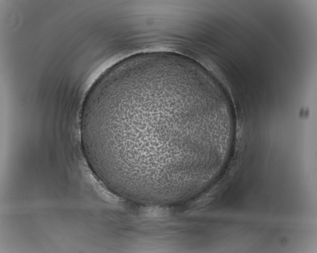 X0000113220789200910011344