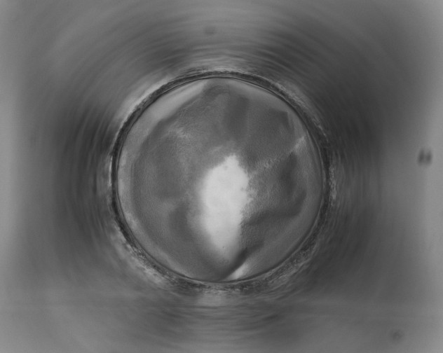 X0000113220790200910011344