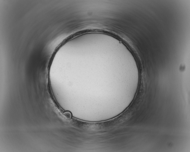 X0000113220791200910011344