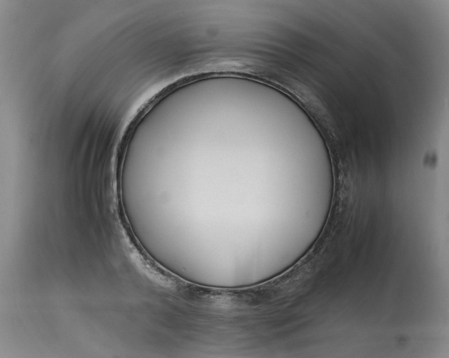 X0000113220792200910011344