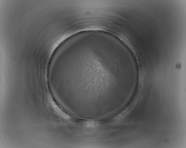 X0000113220797200910011344