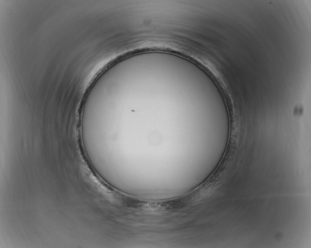 X0000113220799200910011344