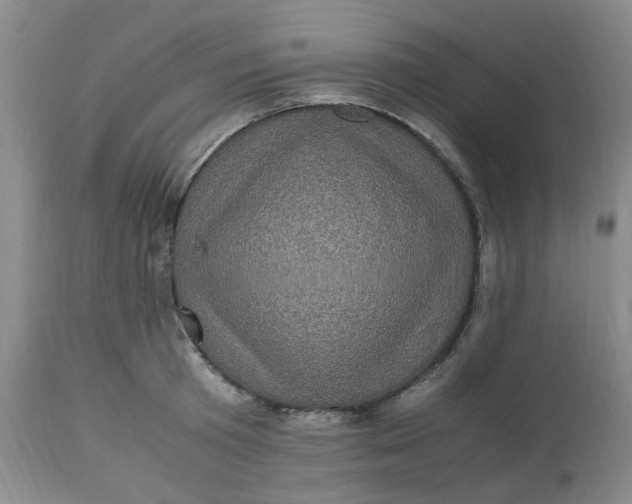 X0000113220801200910011344