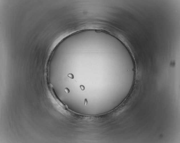 X0000113220803200910011344