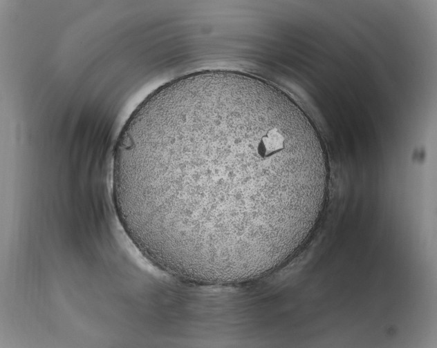 X0000113220804200910011344