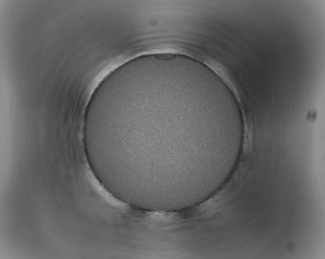 X0000113220805200910011344