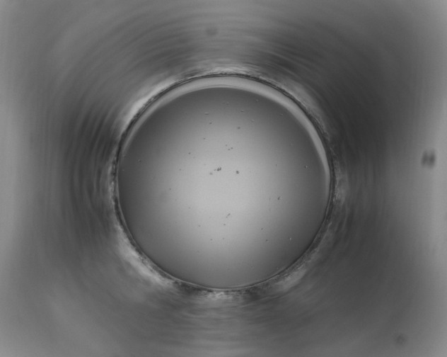 X0000113220806200910011344