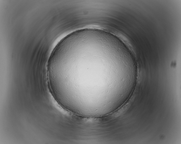 X0000113220808200910011344