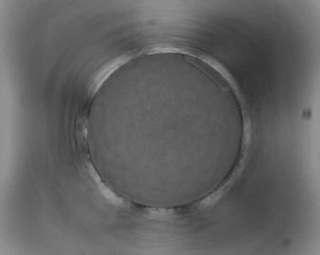 X0000113220809200910011344