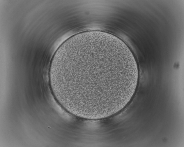 X0000113220810200910011343