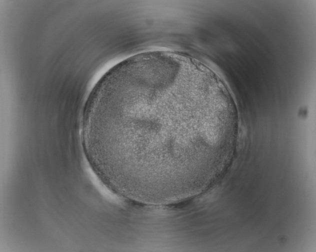 X0000113220811200910011343