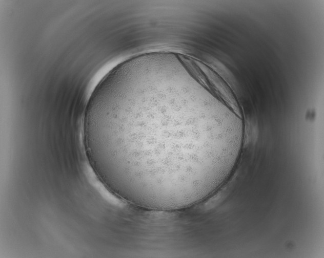 X0000113220812200910011343