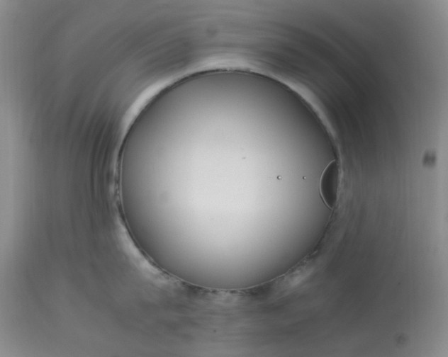 X0000113220815200910011343