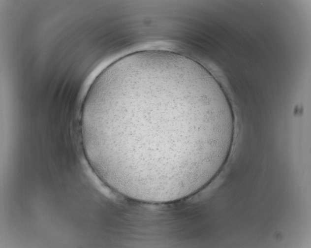 X0000113220816200910011343