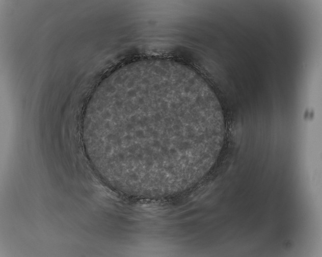 X0000113220817200910011343