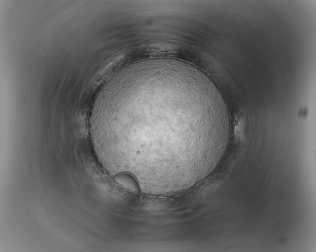 X0000113220819200910011343