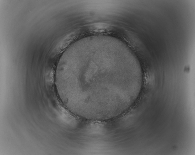 X0000113220820200910011343