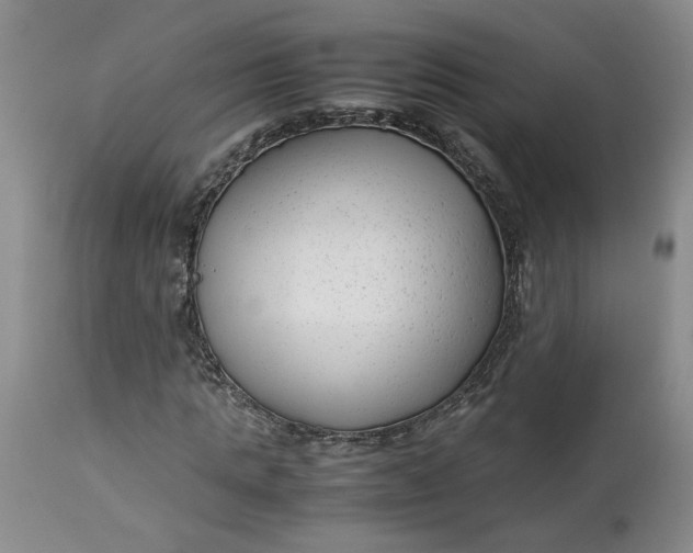 X0000113220821200910011343