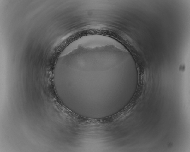 X0000113220822200910011343