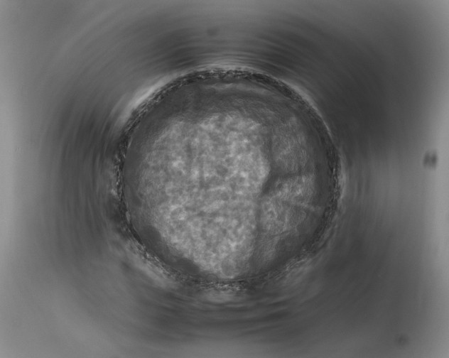 X0000113220823200910011343