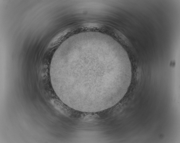 X0000113220824200910011343