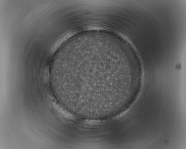 X0000113220825200910011343