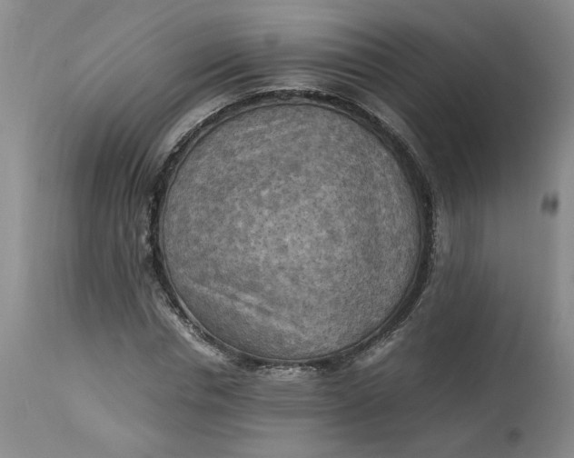 X0000113220826200910011343