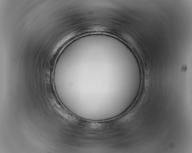 X0000113220827200910011343