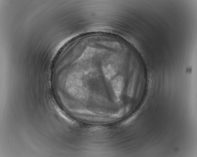 X0000113220830200910011343