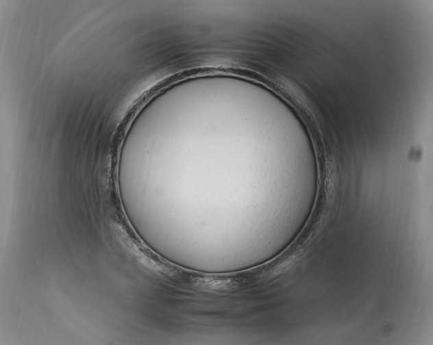 X0000113220831200910011343