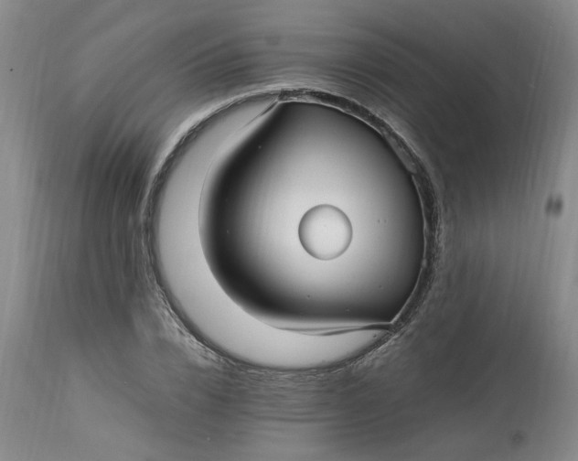 X0000113220832200910011343