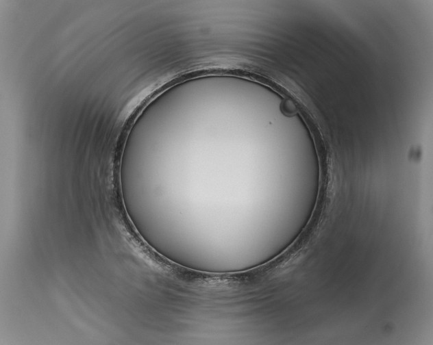 X0000113220834200910011343