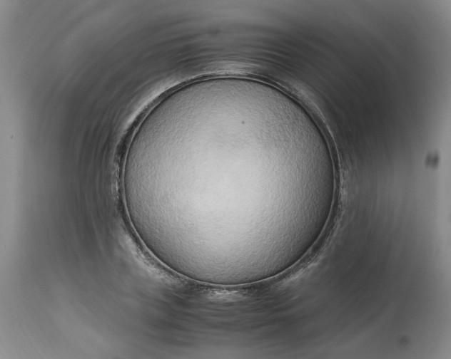 X0000113220835200910011343