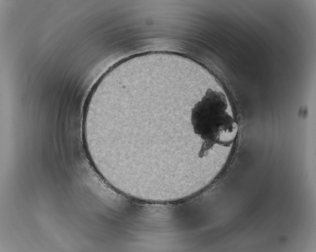 X0000113220836200910011343