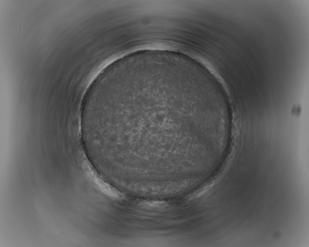 X0000113220837200910011343