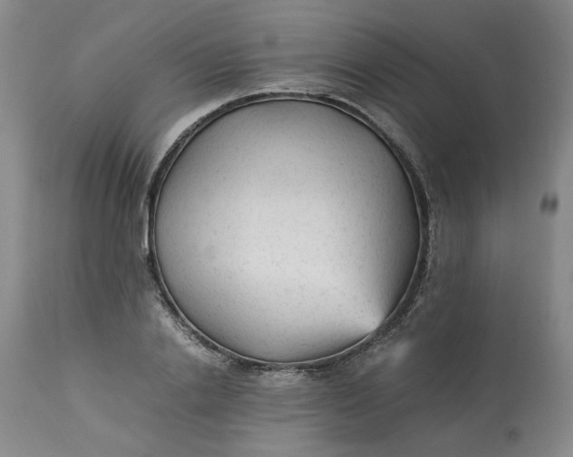 X0000113220838200910011343