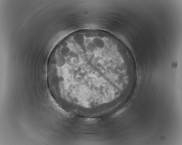 X0000113220839200910011343