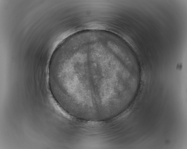 X0000113220840200910011343