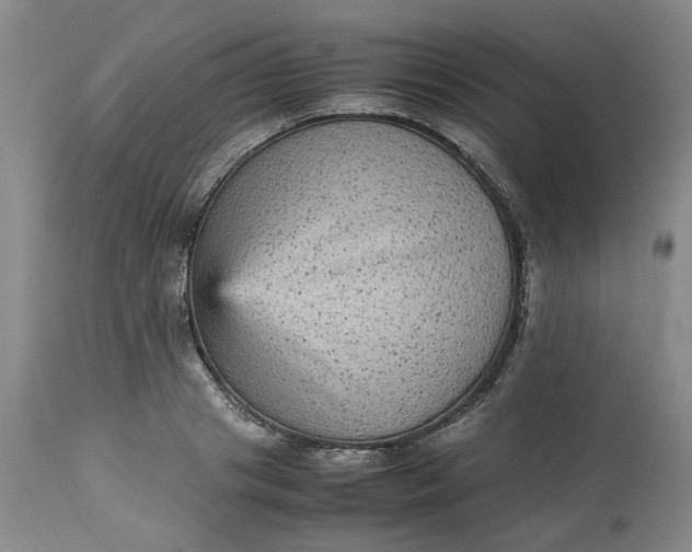 X0000113220841200910011343