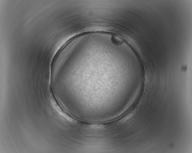 X0000113220844200910011343