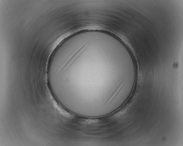 X0000113220845200910011343