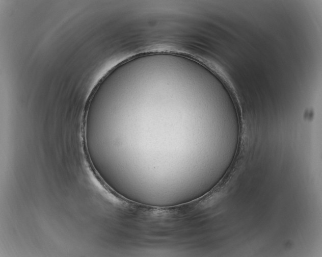 X0000113220847200910011343