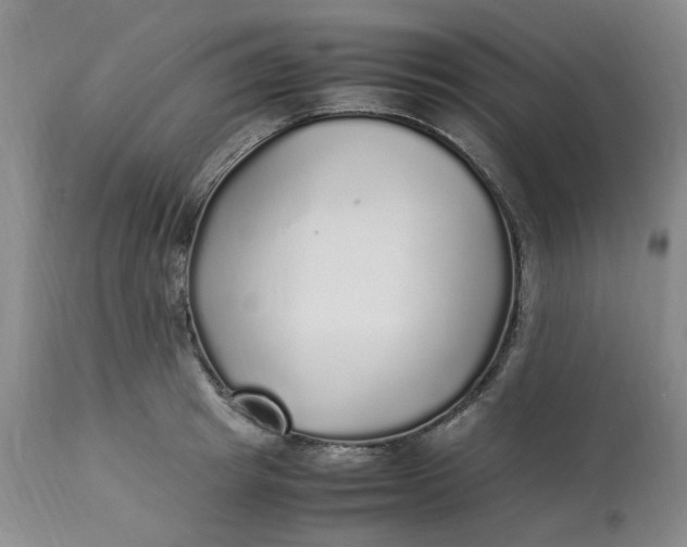 X0000113220849200910011343