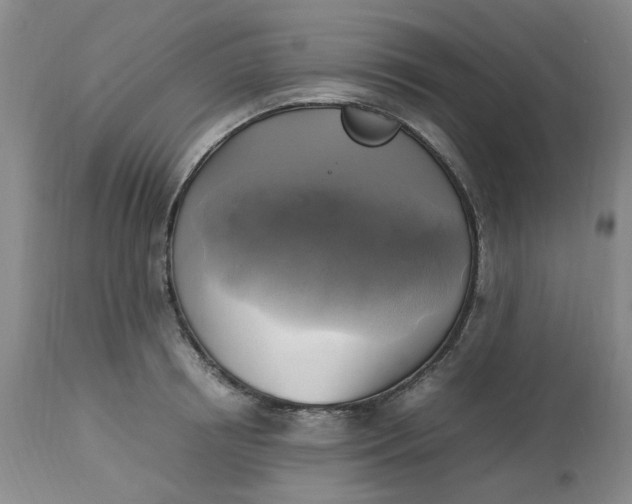 X0000113220850200910011343