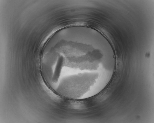 X0000113220851200910011343